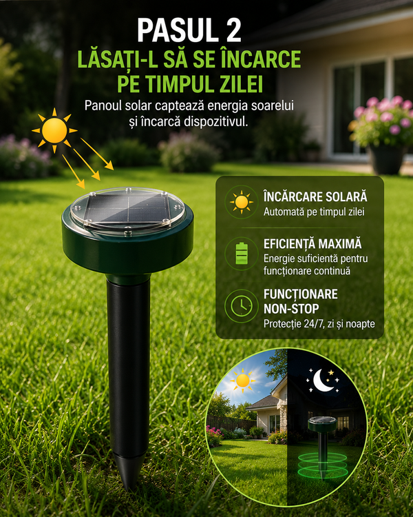 Lăsați-l să se încarce pe timpul zilei